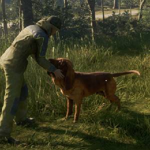 theHunter Call of the Wild Bloodhound - Aai