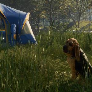 theHunter Call of the Wild Bloodhound - Tent