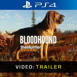 theHunter Call of the Wild Bloodhound Video Trailer