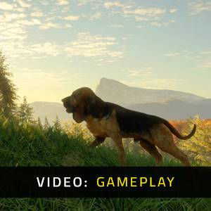 theHunter Call of the Wild Bloodhound Gameplay Video