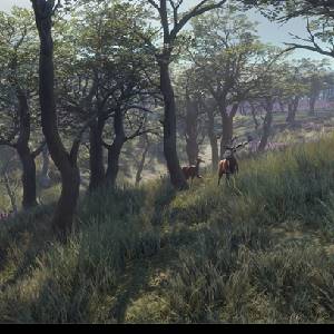 theHunter Call of the Wild Parque Fernando - Bomen